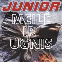 Junior — Meilė Ir Ugnis — обложка